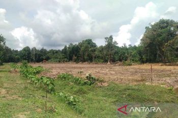 Pemkab Simeulue cetak sawah baru seluar 1.050 hektare
