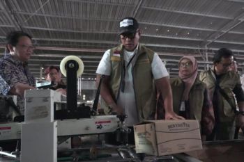 Dirut Bulog perintahkan penarikan produk MinyaKita berbau solar