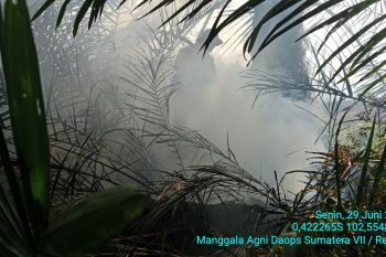 Karhutla 10 hektare di Inderagiri Hulu, Manggala Agni tinggal lakukan pendinginan