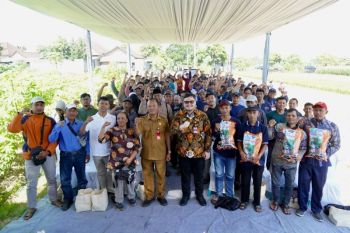 Pemkab Kediri salurkan 200 ton benih jagung dukung ketahanan pangan