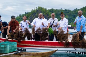DKP Papua dorong sistem perikanan terintegrasi lewat "Kampung Nelayan"