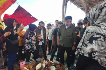 Gubernur Herman Deru ajak OJK dan BI perkuat usaha perkebunan kelapa