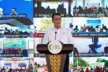 Kepala Bapanas: SPHP jagung pakan jaga peternak dan harga unggas