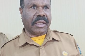 Pemprov Papua Pegunungan buka lahan pertanian 24 hektare selama 2026