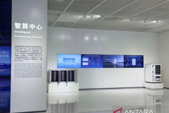 Perusahaan energi terbarukan China jajaki peluang buka pusat data AI di Indonesia