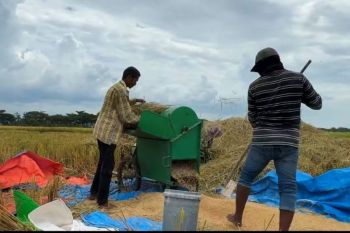 Bulog Aceh pastikan harga beli gabah di atas HPP