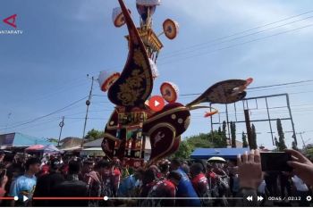 Wamenbud sebut tradisi Tabuik jadi simbol budaya Pariaman - VIDEO