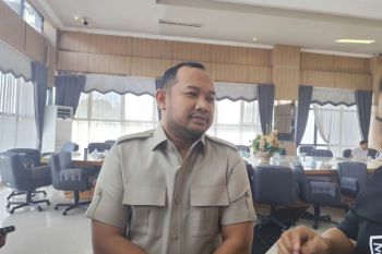 PLN Kalselteng diminta lebih profesional