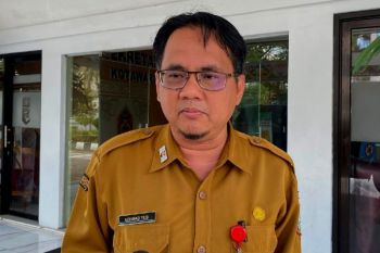 DPPPAPPKB Kotim soroti kasus pembakaran perempuan oleh kekasih