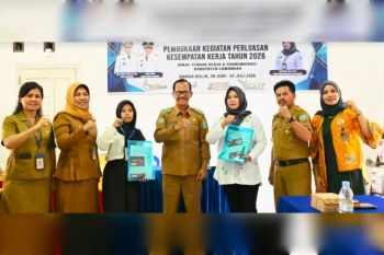 Pelatihan handycraft dorong lahirnya wirausaha baru di Lamandau