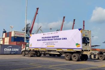 BPS Lampung: Perdagangan nonmigas 251,35 juta dolar AS sumbang surplus