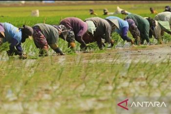 Pemkab Karawang siapkan program beasiswa khusus bagi anak petani