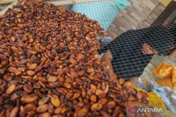 Kemendag: Kenaikan harga biji kakao disebabkan cuaca buruk