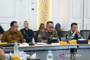 Tembus Rp7,08T, laba bersih PTPN IV PalmCo melonjak 90,3 persen pada 2025, ditopang produksi dan efisiensi