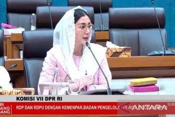 Komisi VII minta Piala Dunia jadi momentum promosikan wisata olahraga