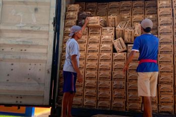 Bulog NTB memiliki 130.000 liter stok Minyakita