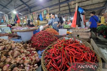 BPS sebut inflasi tahunan Papua Barat naik jadi 6,99 persen pada Juni