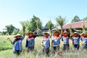 Swasembada pangan dan energi makin nyata, Komisaris Pertamina apresiasi program TJSL Uma Palak Lestari