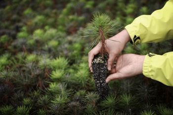 Tetra Pak Advances Food System Resilience as It Cuts GHG Emissions Across the Value Chain by Over a Third