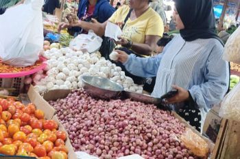 Nilai transaksi BI-RTGS triwulan pertama di Tanah Papua Rp5,2 triliun