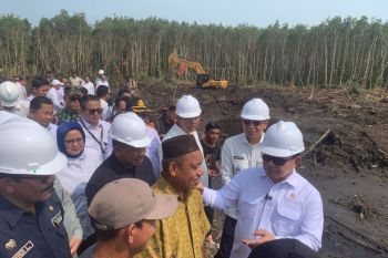 KSP Dudung: Lahan cetak sawah di Sumsel jangan dialihfungsikan
