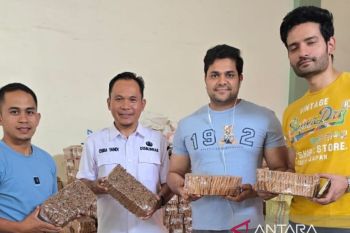 Pemkab Kerinci intervensi petani kayu manis melalui bantuan bibit