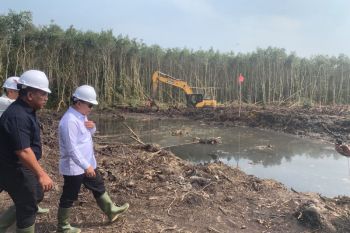 KSP Dudung pastikan petani program cetak sawah dapatkan pupuk gratis