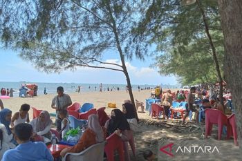 Batang anggarkan pengembangan infrastruktur dan fasilitas pendukung lima objek wisata