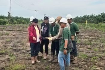 Akses jalan ke Pelabuhan Batanjung di Kapuas ditargetkan selesai tahun ini