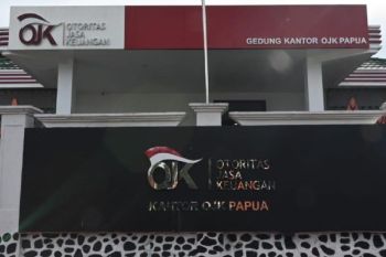 OJK sebut 1.030 laporan penipuan keuangan terjadi di Papua