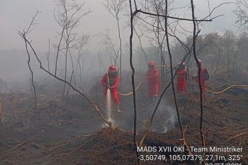 Manggala Agni tambah pesonel tangani karhutla di Desa Sumber Hidup OKI
