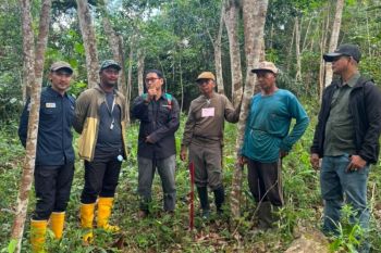 PLN dan BPN Kukar Ukur Lahan Tapak Tower SUTT di Samboja