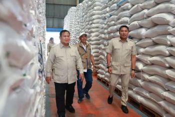 Rencana ekspor beras ke Singapura peluang serap surplus RI