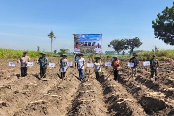 Kementan dorong percepatan hilirisasi komoditas perkebunan