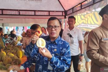 Bazar durian di Belitung Expo 2026 jadi magnet wisatawan