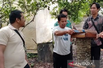 Dana karbon dongkrak usaha madu kelulut hutan