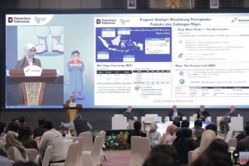 Jaga ketahanan energi jangka panjang, PHE fokus garap deepwater dan migas nonkonvensional