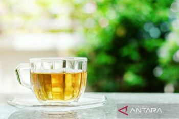 Teh hijau tak sekadar menyegarkan, manfaatnya untuk menjaga kesehatan hati