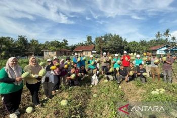 Pengembangan Vermikompos bantu petani Aek Korsik tingkatkan produktivitas