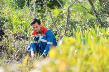 Hutan Lestari Pertamina: Menenun Harmoni Alam, Menuai Kesejahteraan Masyarakat