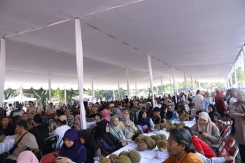 Gubernur Babel hadirkan 15.000 buah durian Kelekak di Jogja Expo Center