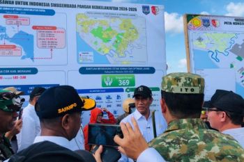 Pemprov Papua Selatan sebut lahan cetak sawah di Merauke 48 ribu hektare