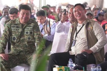 Bulog&nbsp;expands rice procurement in South Papua