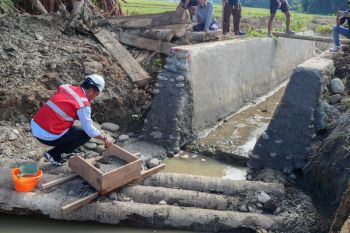 Kawal pembangunan irigasi di Luwu