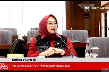 Komisi VI usul PTPN kembangkan bioetanol  dari sorgum