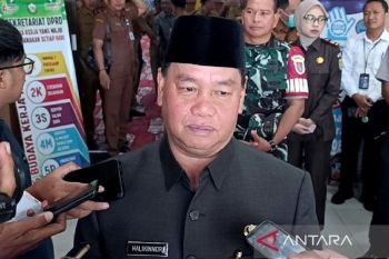 Pemkab Kotim berkoordinasi dengan PLN terkait pemadaman bergilir