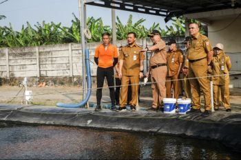 Pemprov Jateng sukses panen udang vaname dari tambak di tengah kawasan industri