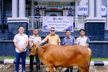 Bupati Delis serahkan hewan kurban di sejumlah titik