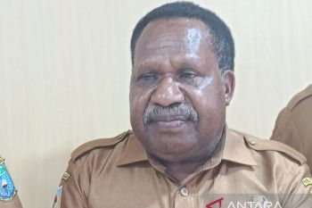Koperasi milik pemda perluas pasar hasil tani Papua Pegunungan