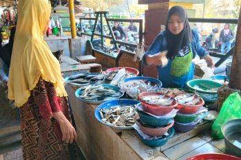 Tingkat konsumsi ikan Mataram naik jadi 55,89 kg per kapita per tahun